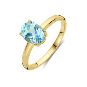 Goldring mit Edelstein