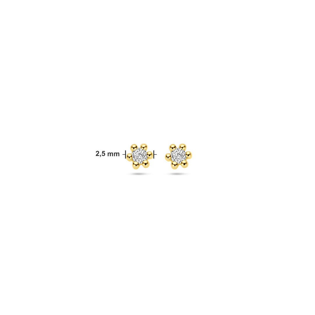 Ohrstecker Diamant 0,04 ct (2x 0,02 ct) h p1 14K Gelbgold