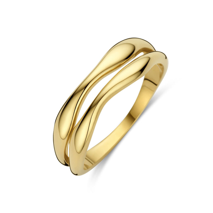 De Van der Kooij Collectie ring 14K geelgoud is een strakke gouden damesring met twee gouden, parallelle banden in een modern, minimalistisch ontwerp. De ring is gefotografeerd op een witte achtergrond.