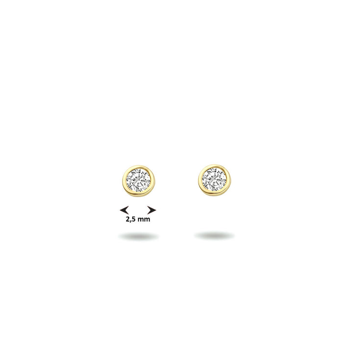Ohrstecker Zirkonia 14K Gelbgold