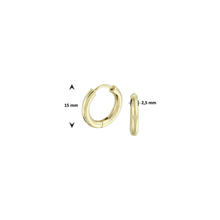 Klappohrringe 2,5 mm rund