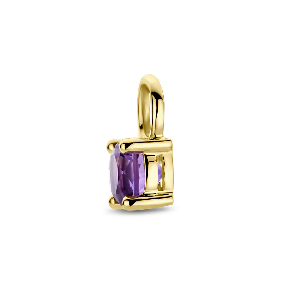Ohrring-Anhänger Amethyst pro Stück 14K Gelbgold