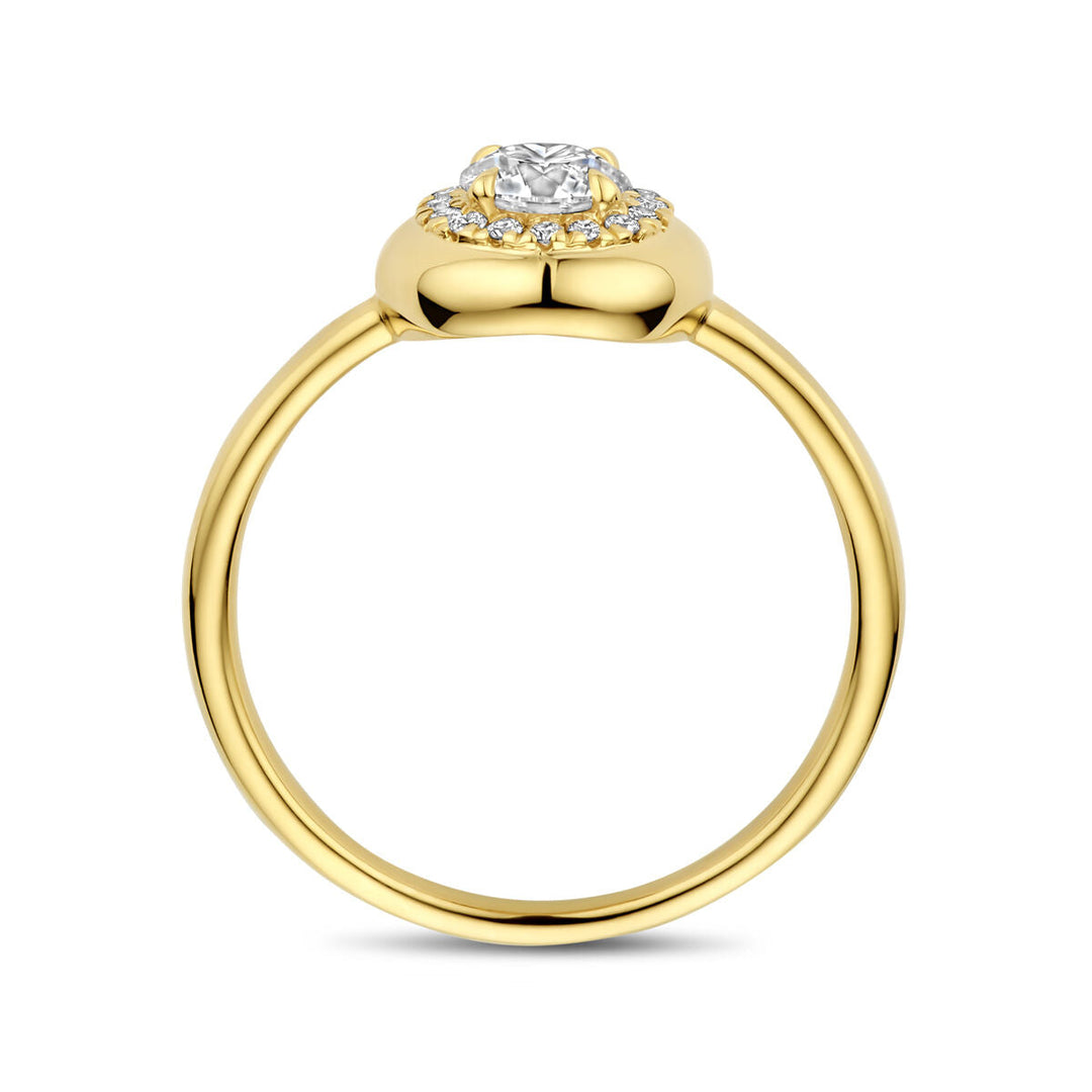 De Van der Kooij Collectie ring lab grown diamant 0,49ct h si 14K geelgoud heeft een ronde band en een centrale lab-grown diamant met een halo, vanaf de zijkant afgebeeld op een witte achtergrond, die verfijnd vakmanschap weerspiegelt.