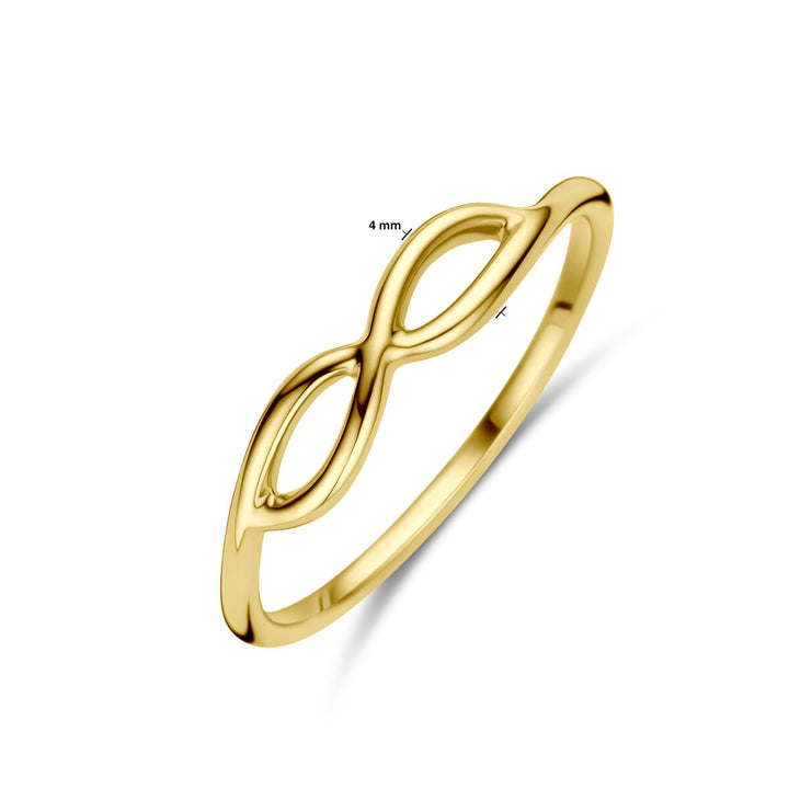 Ring Unendlichkeit 14K Gelbgold