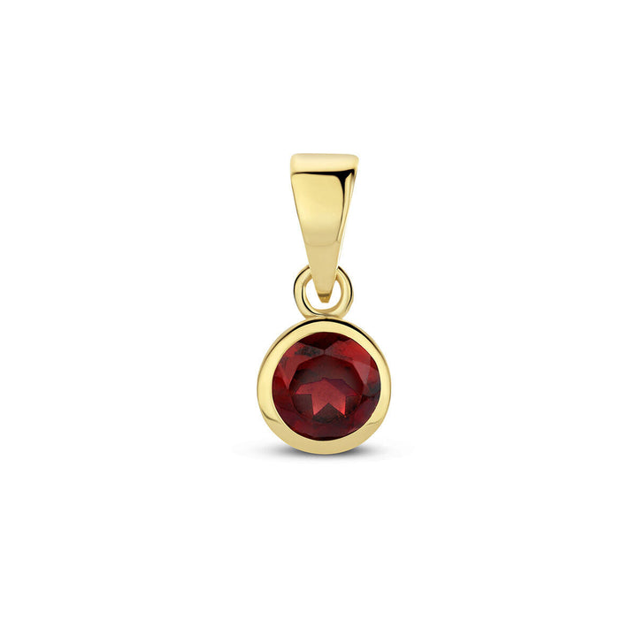 Anhänger mit Geburtsstein 14K Gelbgold