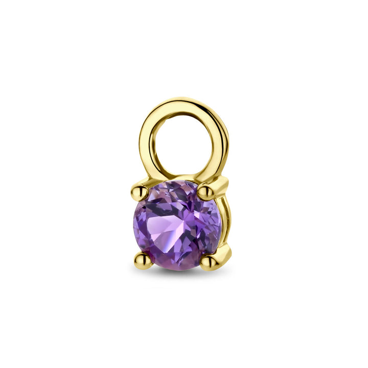 Ohrring-Anhänger Amethyst pro Stück 14K Gelbgold