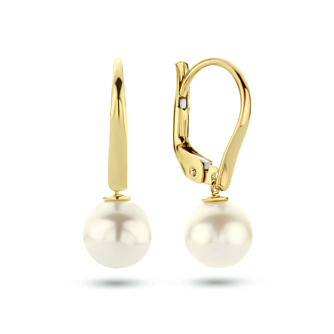Ohrringe Perlenbrisur Haken 14K Gelbgold
