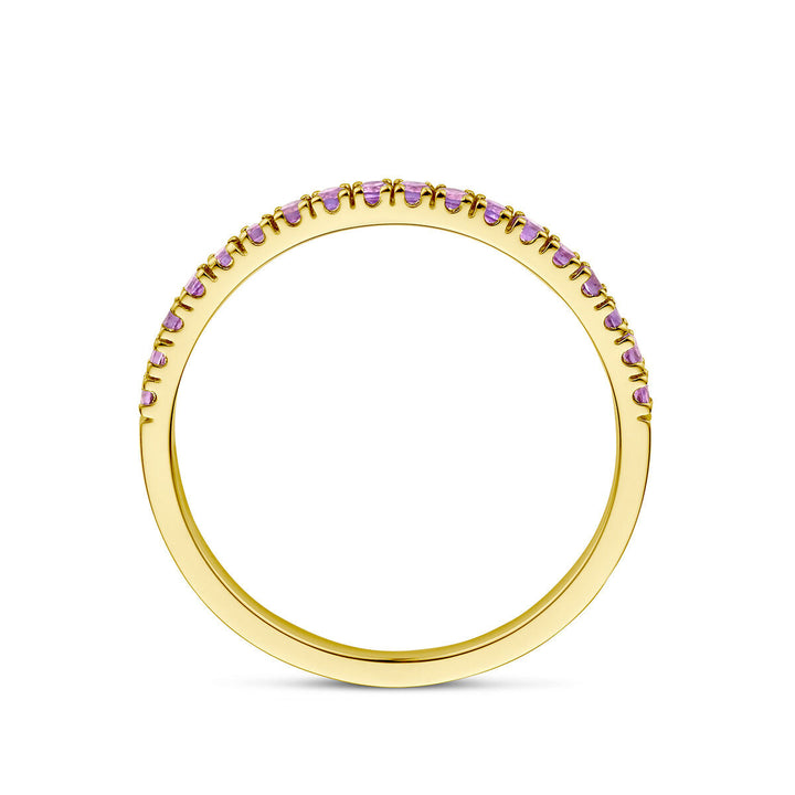 De Van der Kooij Collectie ring met geboortesteen amethist februari in 14K geelgoud heeft kleine paarse stenen aan de bovenkant van de band. Perfect als geboortesteencadeau.