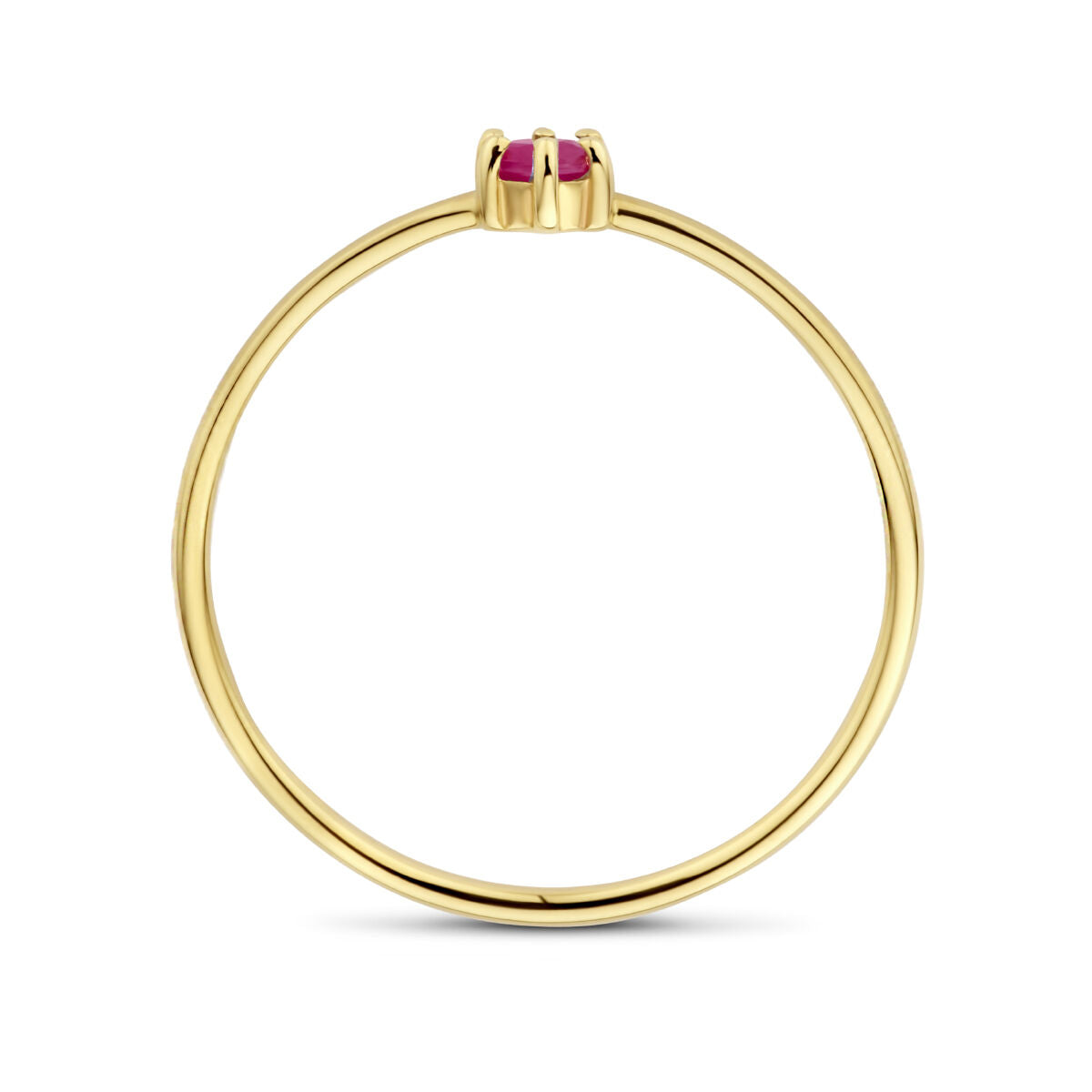 De ring met geboortesteen robijn juli van 14K geelgoud uit de Van der Kooij Collectie straalt elegantie uit.