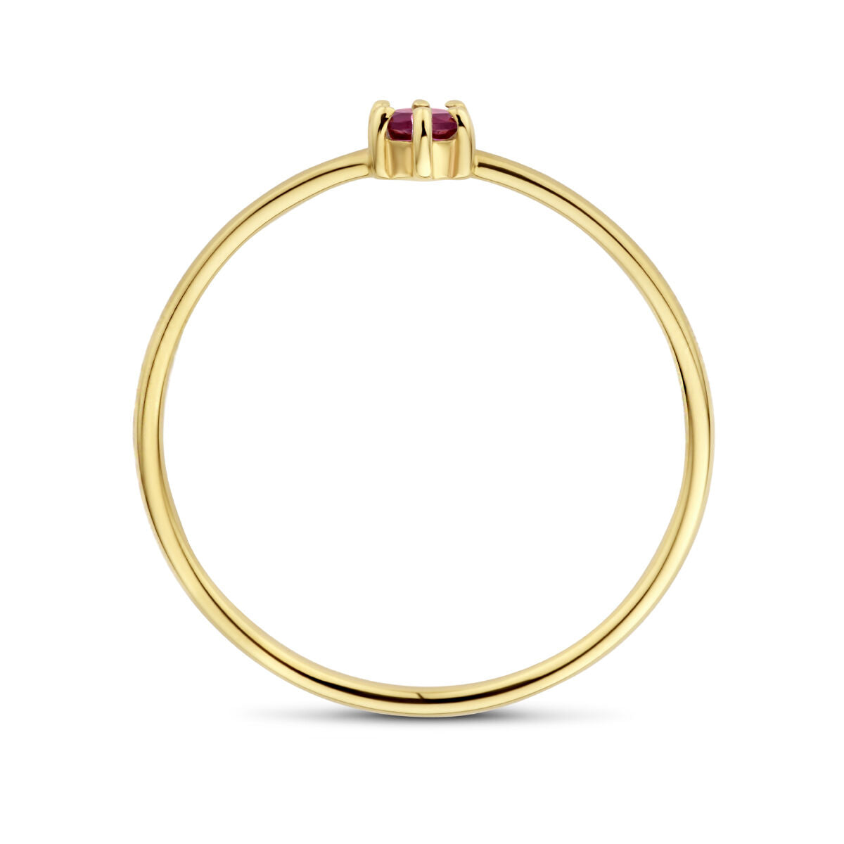Ring mit Geburtsstein Granat 14. JanuarK Gelbgold