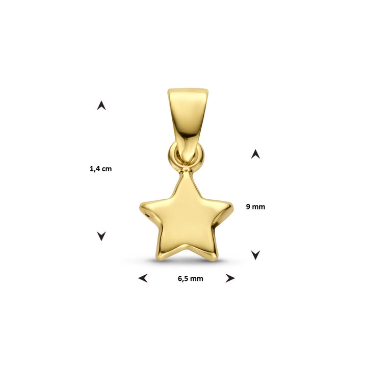 Anhänger Stern 14K Gelbgold