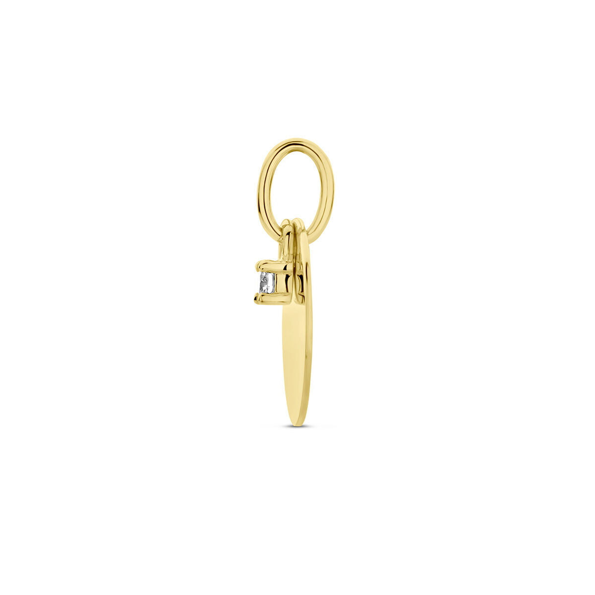 Gravuranhänger Kreis und Diamant h si 14K Gelbgold