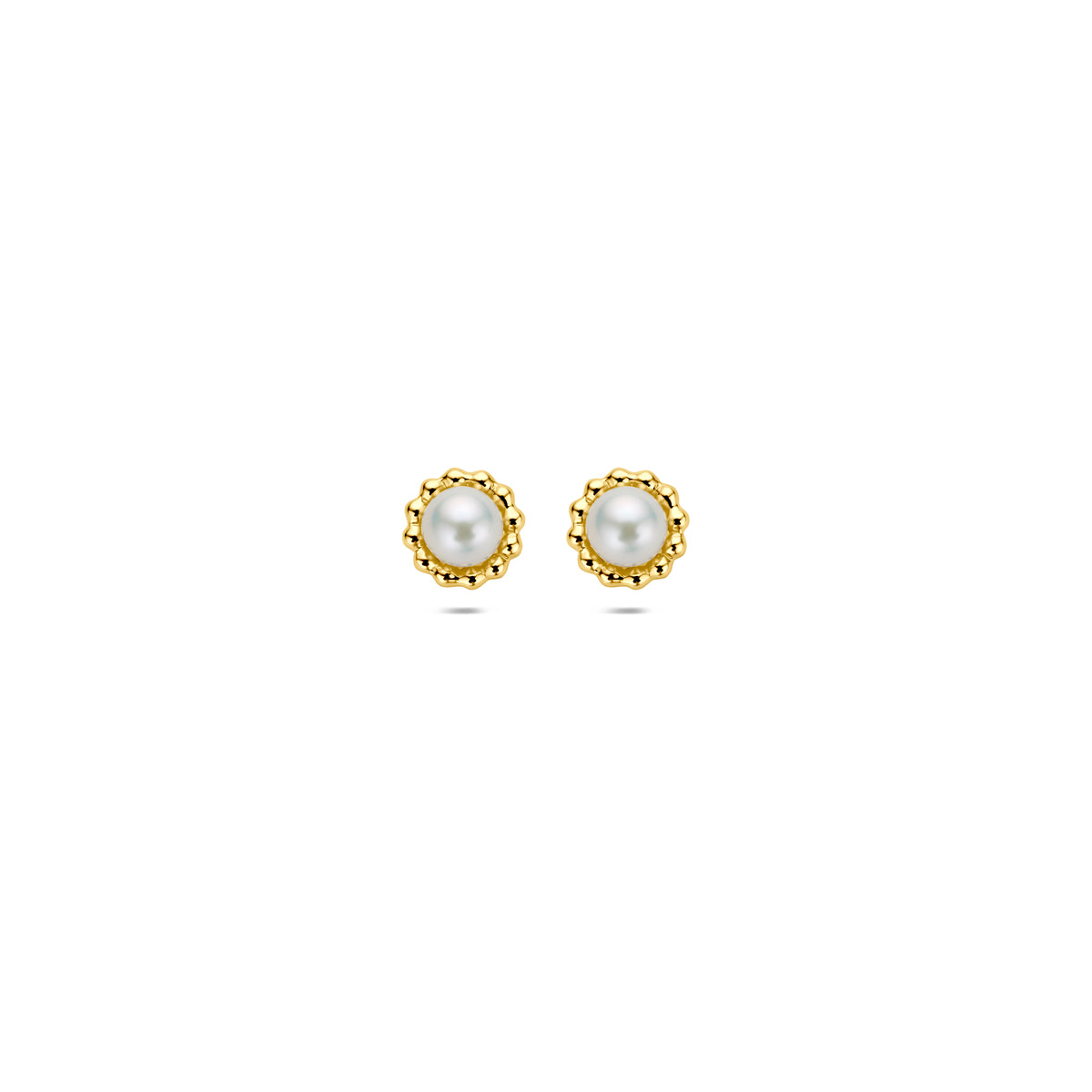 Ohrstecker aus 14K Gelbgold mit 5,5 mm großen Perlen und dekorativem Rand