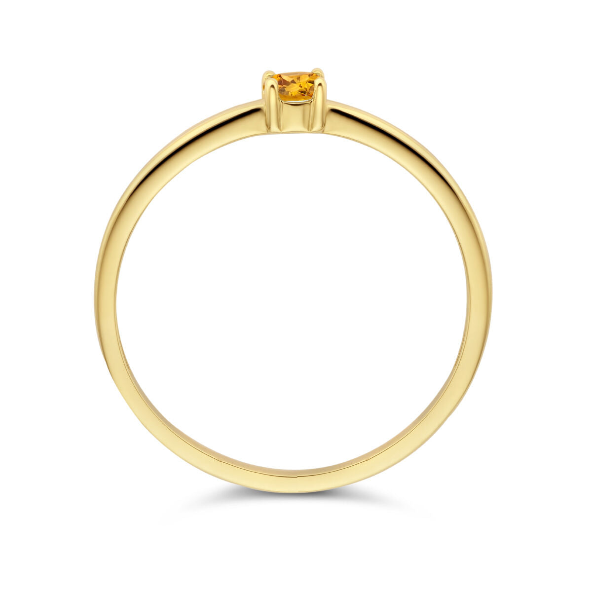 De Van der Kooij Collectie ring met geboortesteen citrien november 14K geelgoud is een eenvoudige gouden ring met een kleine, ronde citrien in een viertandige zetting, weergegeven op een witte achtergrond.