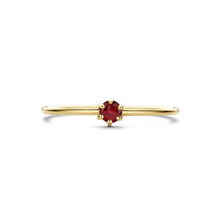 Ring mit Geburtsstein Granat 14. JanuarK Gelbgold