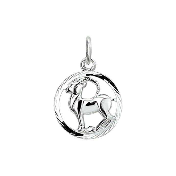 De hanger sterrenbeeld gediamanteerd zilver wit uit de Van der Kooij Collectie is een elegante unisex hanger met hoogglans afwerking, perfect om je sterrenbeeld stijlvol te dragen.