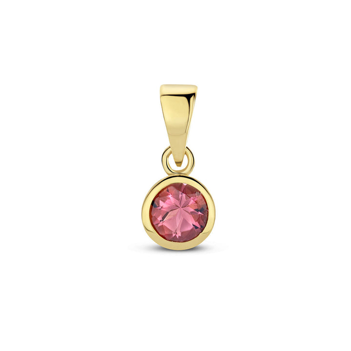 Anhänger mit Geburtsstein 14K Gelbgold