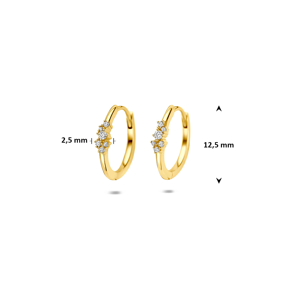 9k klapoorringen zirkonia 9K geel