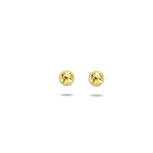 Gouden oorknopjes
