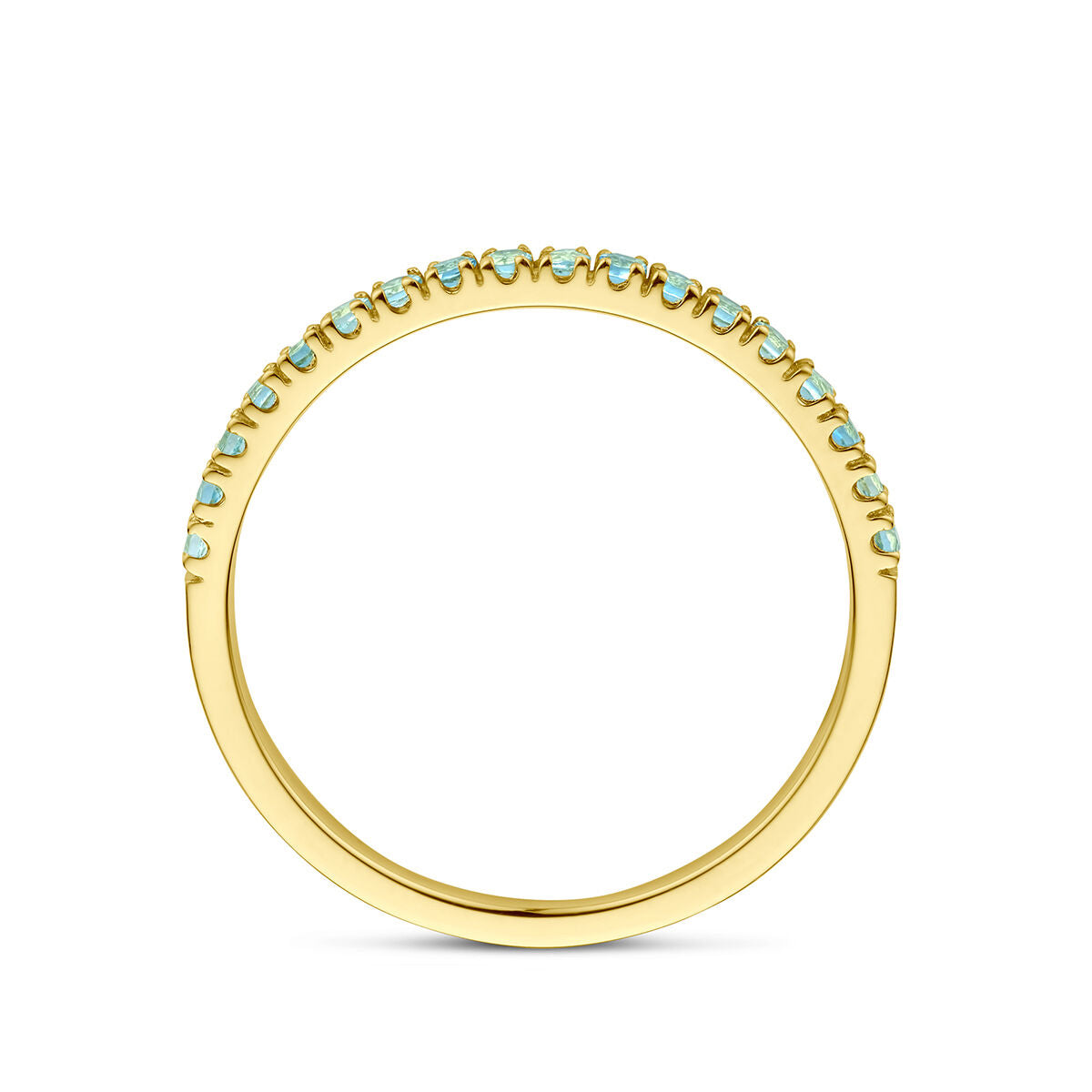 De Van der Kooij Collectie ring met geboortesteen aquamarijn maart in 14K geelgoud is voorzien van kleine aquamarijn edelstenen langs de bovenste helft van de band, weergegeven op een witte achtergrond.