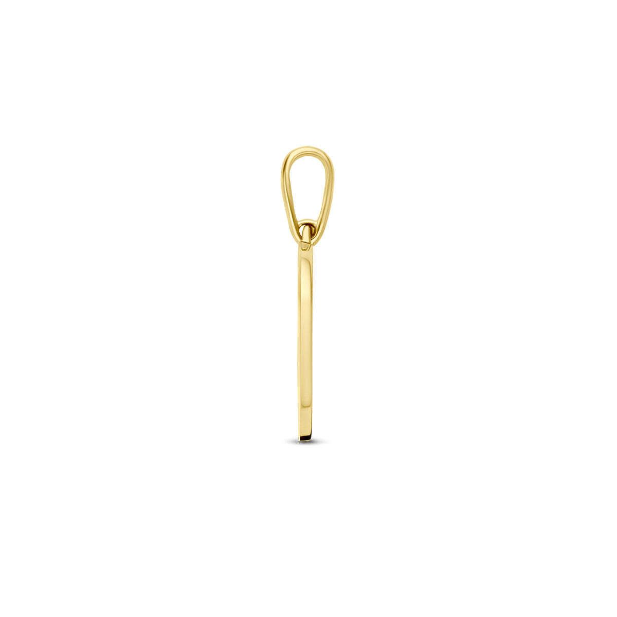 De Van der Kooij Collectie hanger met geboortebloem in 14K geelgoud heeft een slanke, verticale staafvormige hanger met een klein oogje. Deze is van de zijkant zichtbaar, waardoor het delicate profiel tegen een witte achtergrond wordt benadrukt.