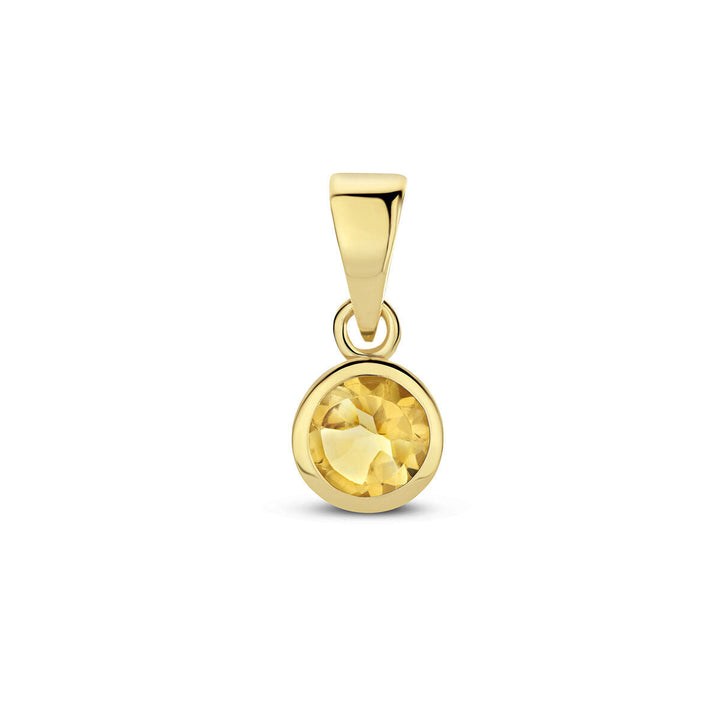 Anhänger mit Geburtsstein 14K Gelbgold