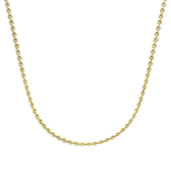 14k geelgouden ketting met zilverkern – Silgold anker collier