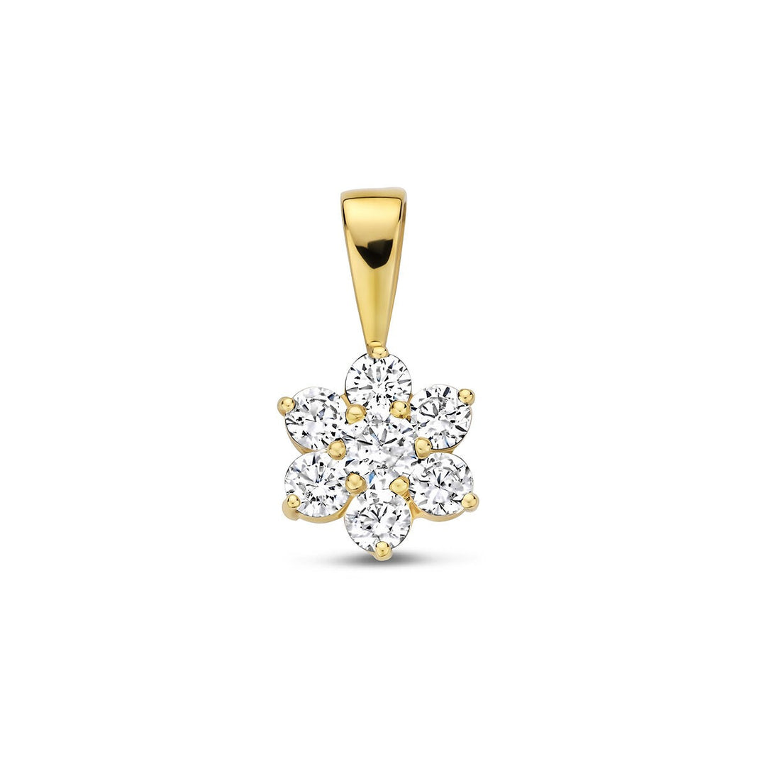 9k Geelgouden hanger met pavé zirkonia