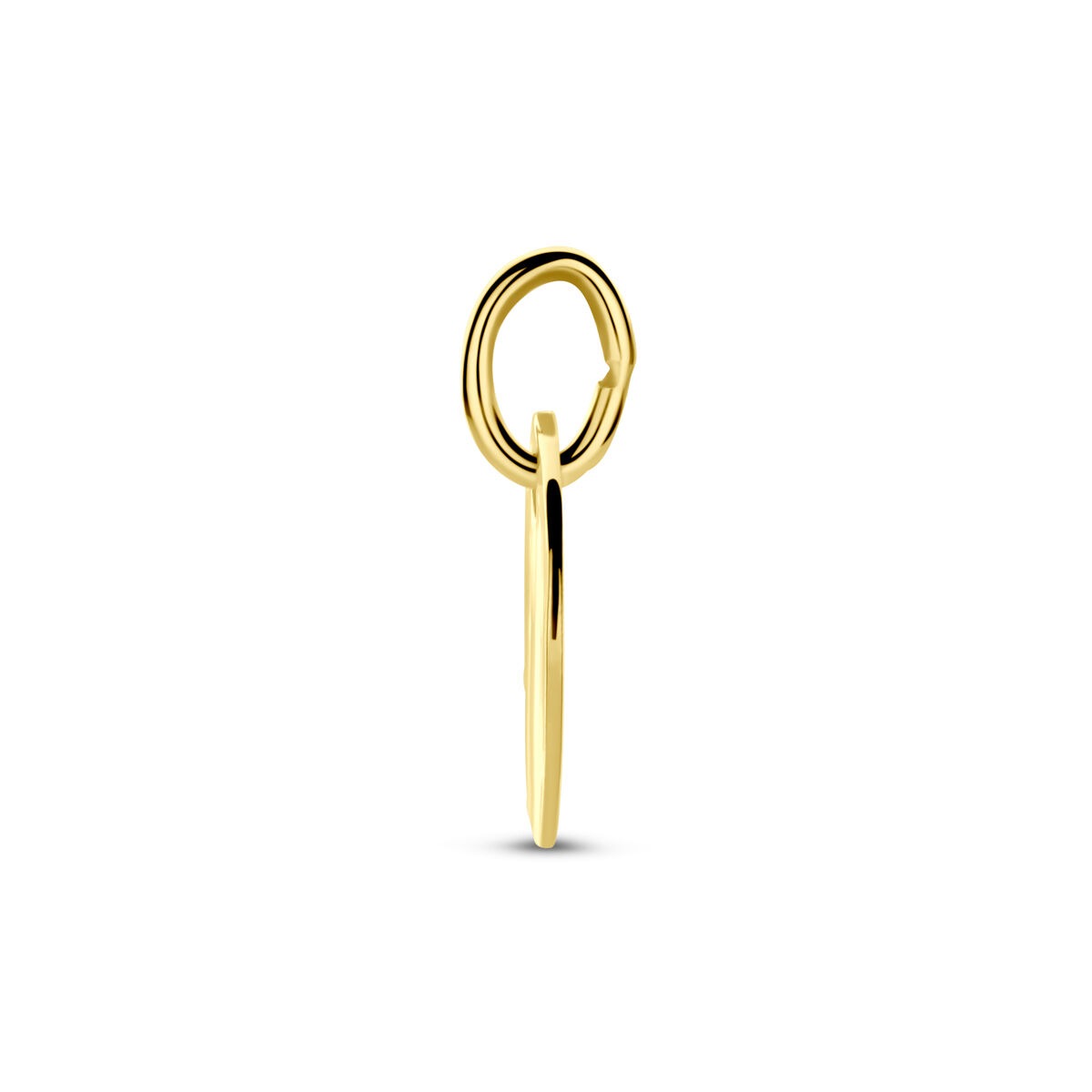14k Gelbgold runder Gravuranhänger Damen