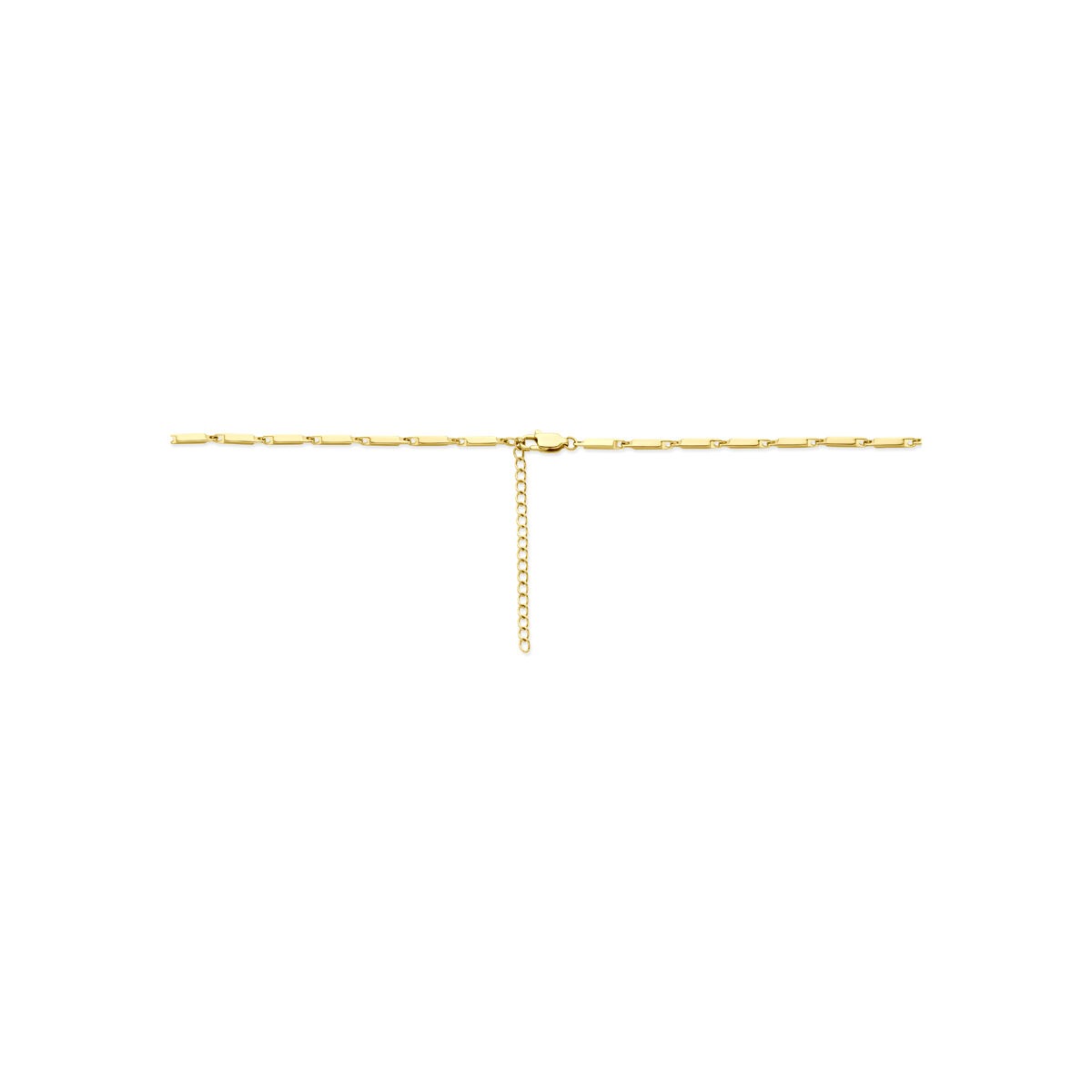 Goldfarbenes Stahlhalsband 2.5mm mit Verlängerung 55–60cm