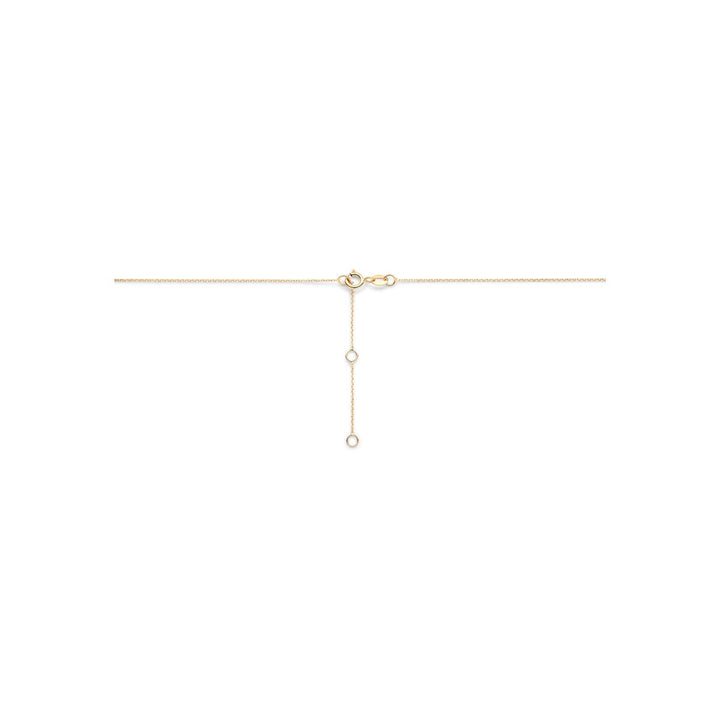14k Geelgouden collier met hanger