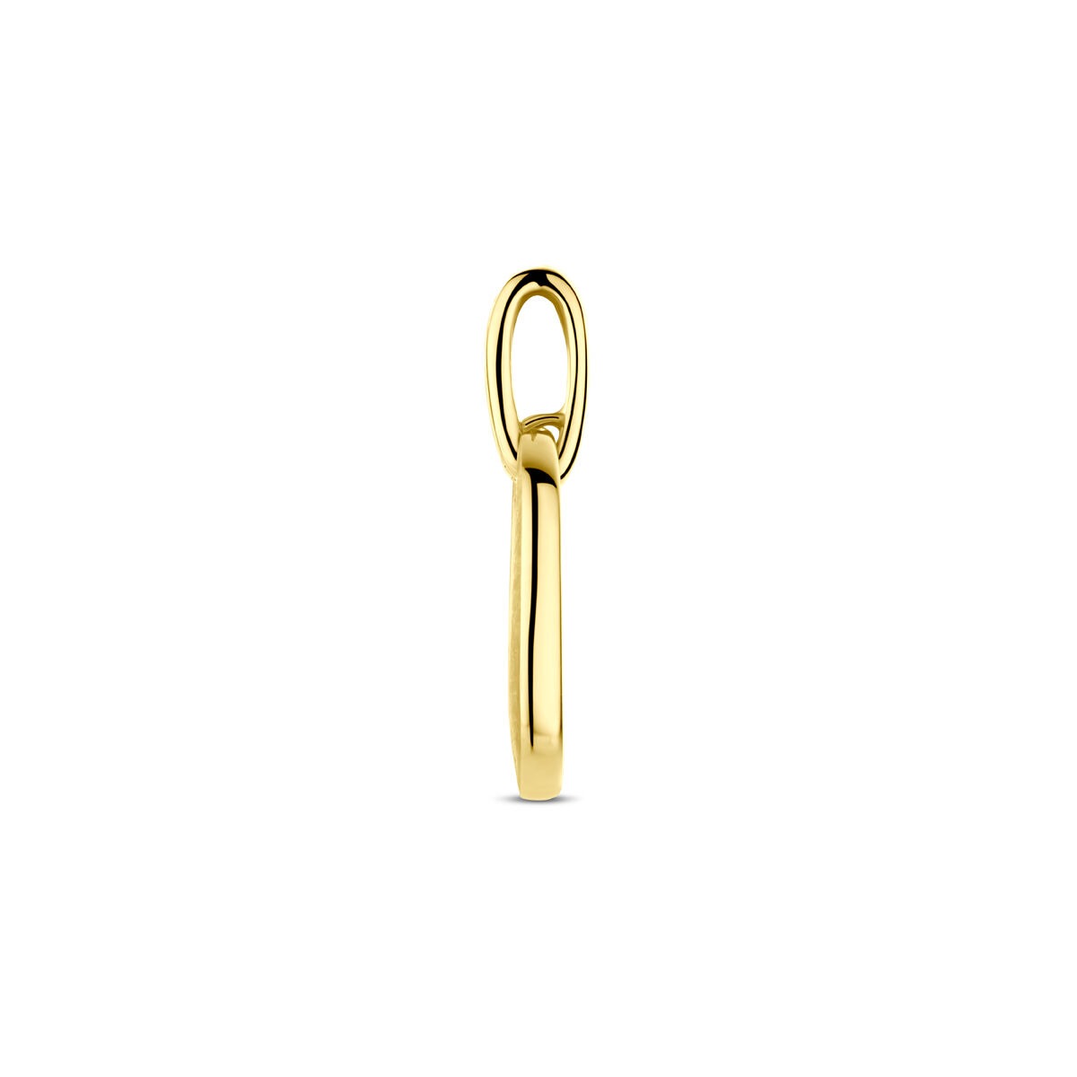 14k Gelbgoldanhänger mit Diamant im Brillantschliff 0,03ct H SI 20 mm