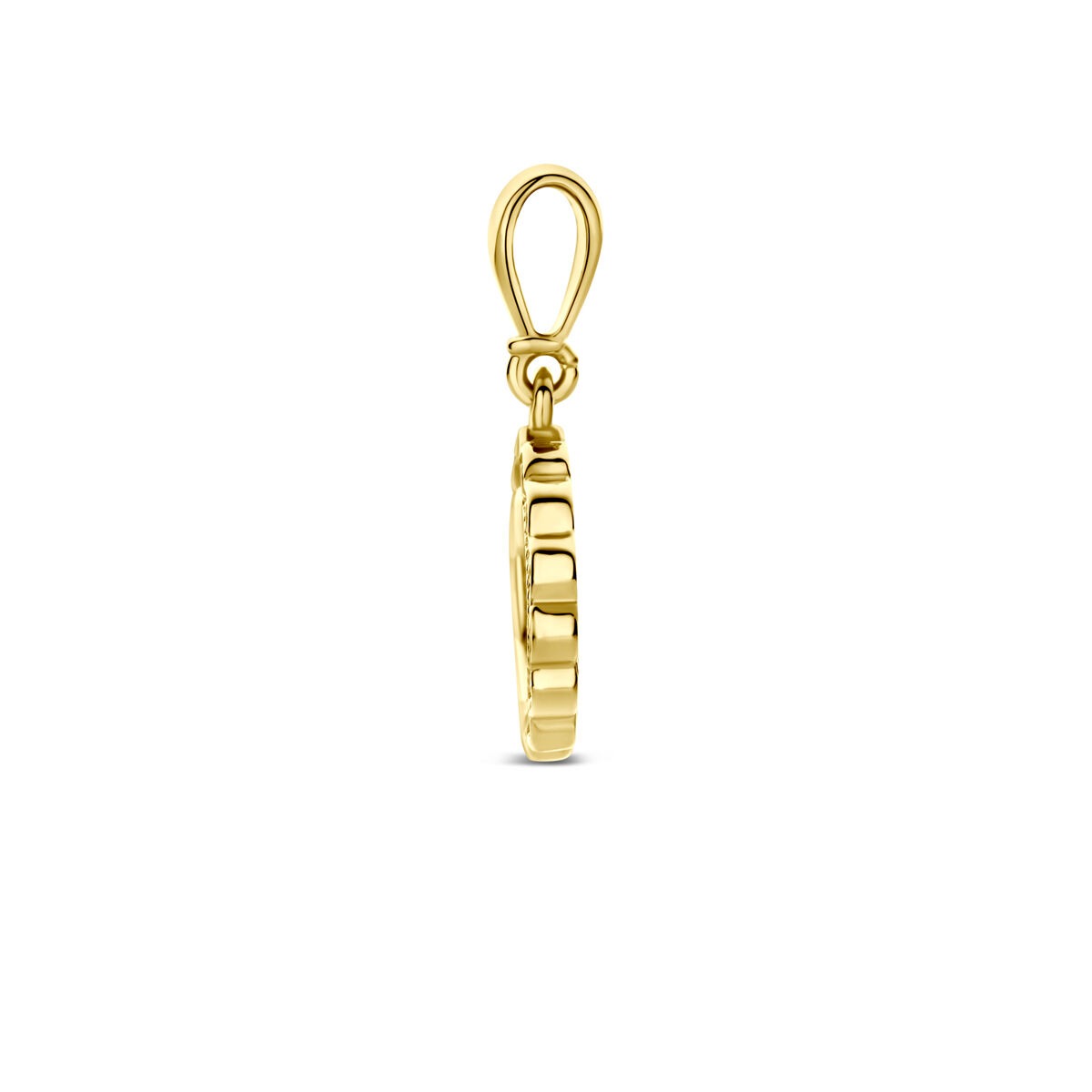 9 Karat Gelbgoldkette mit Zirkonia-Anhänger rund