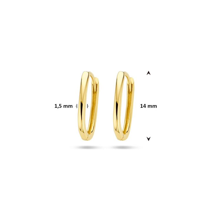 9k Geelgouden paperclip klapoorringen