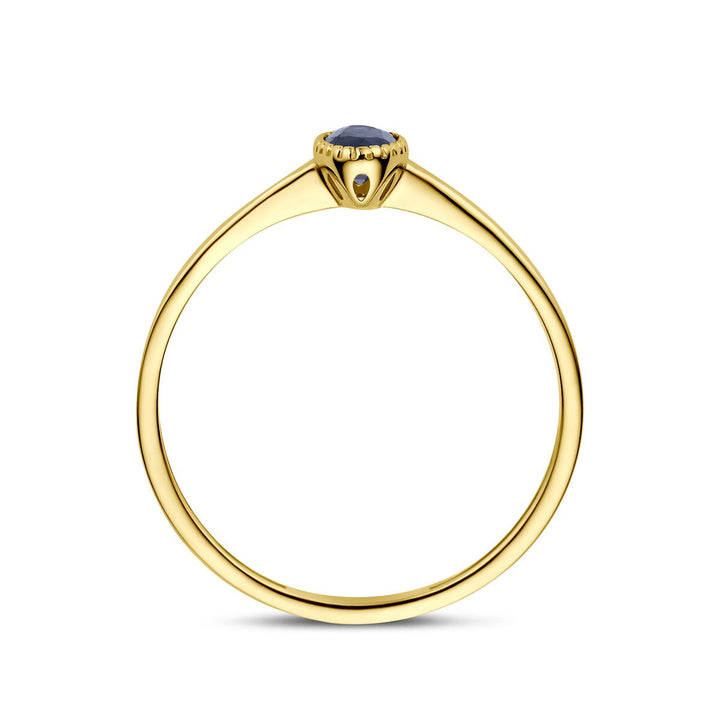 9k Geelgouden ring met saffier
