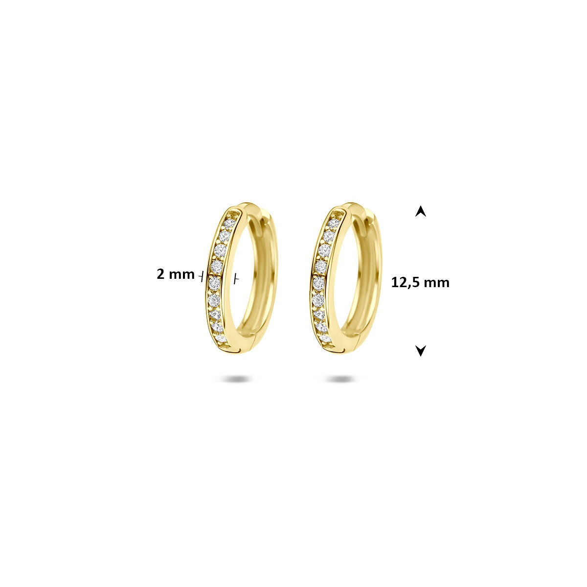 9k Geelgouden klapoorringen met zirkonia