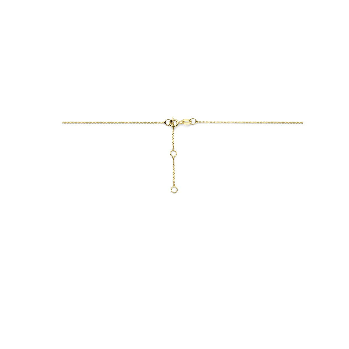 Goldhalskette 14k mit Zirkonia – Jasseron-Gliederung