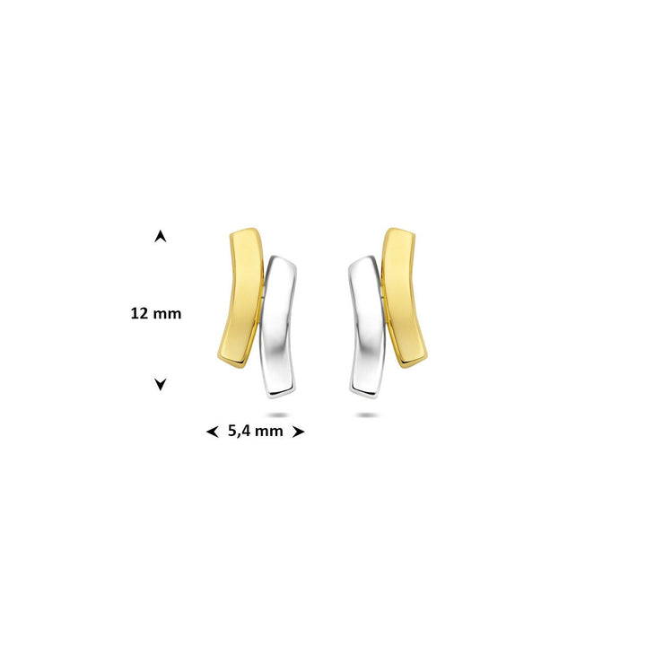 9k Bicolor geel- en witgouden oorknoppen