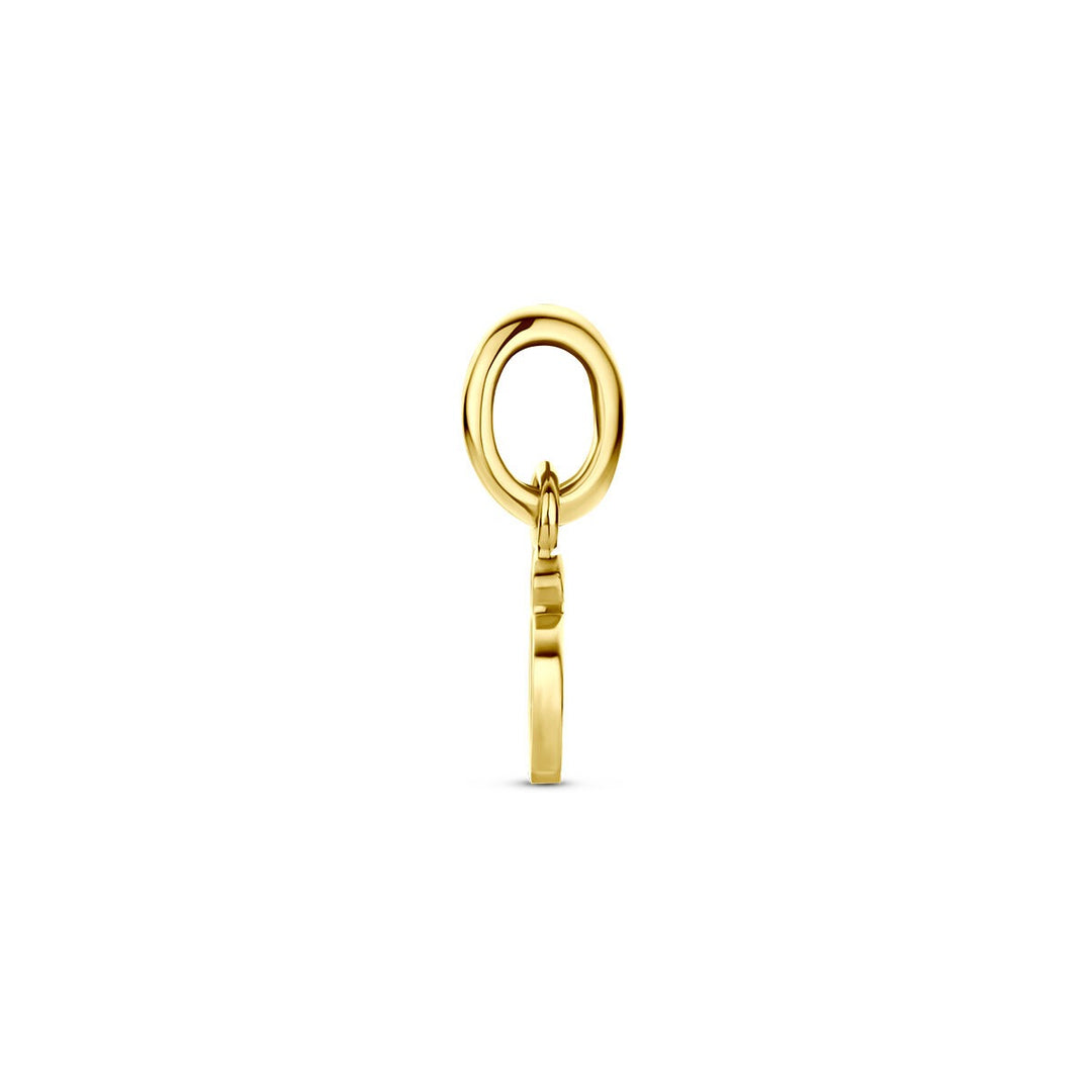 9k Geelgouden lieveheersbeestje hanger met emaille