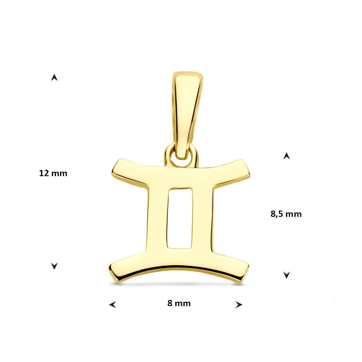 14k Gelbgold Anhänger Sternzeichen