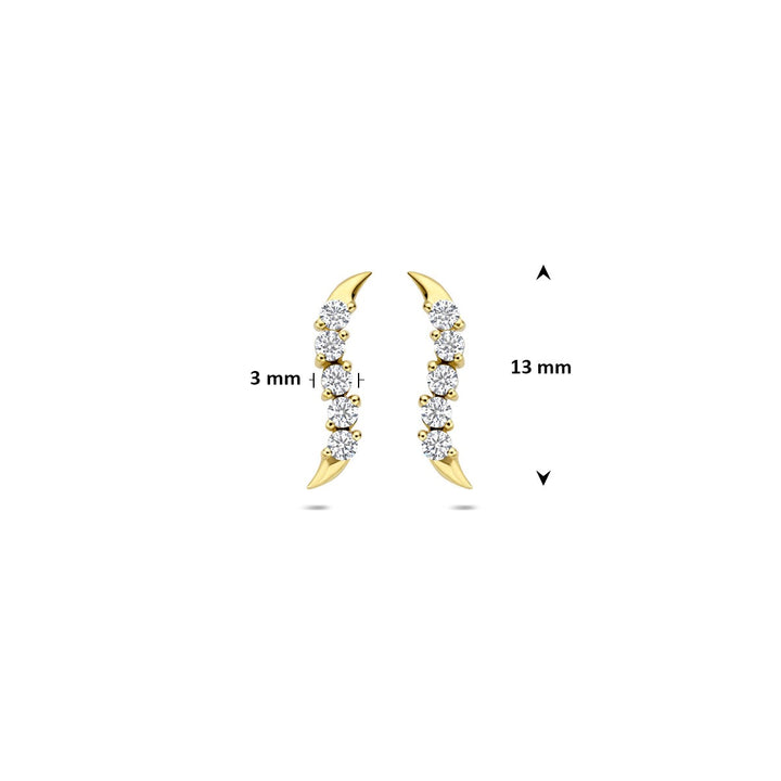 Ohrstecker Zirkonia 14K Gelbgold