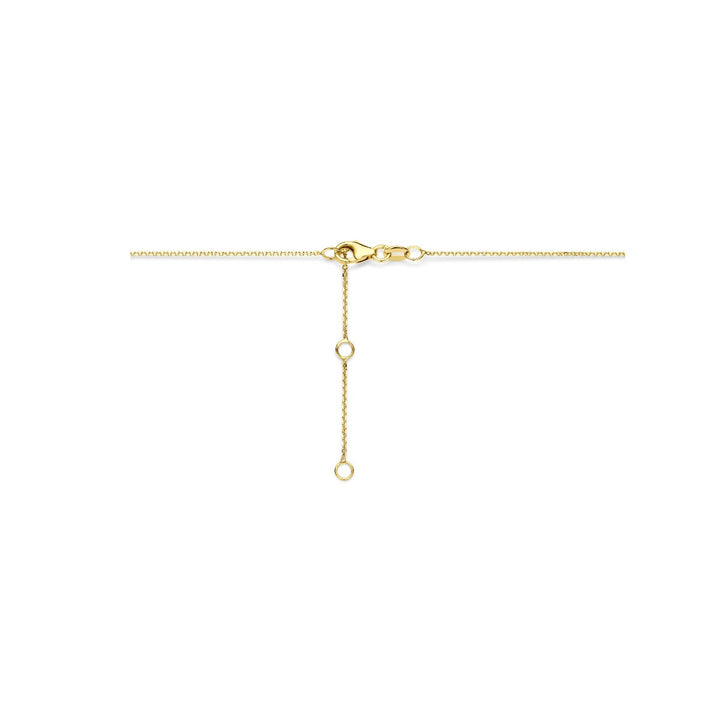 14k Geelgouden ketting met klaver