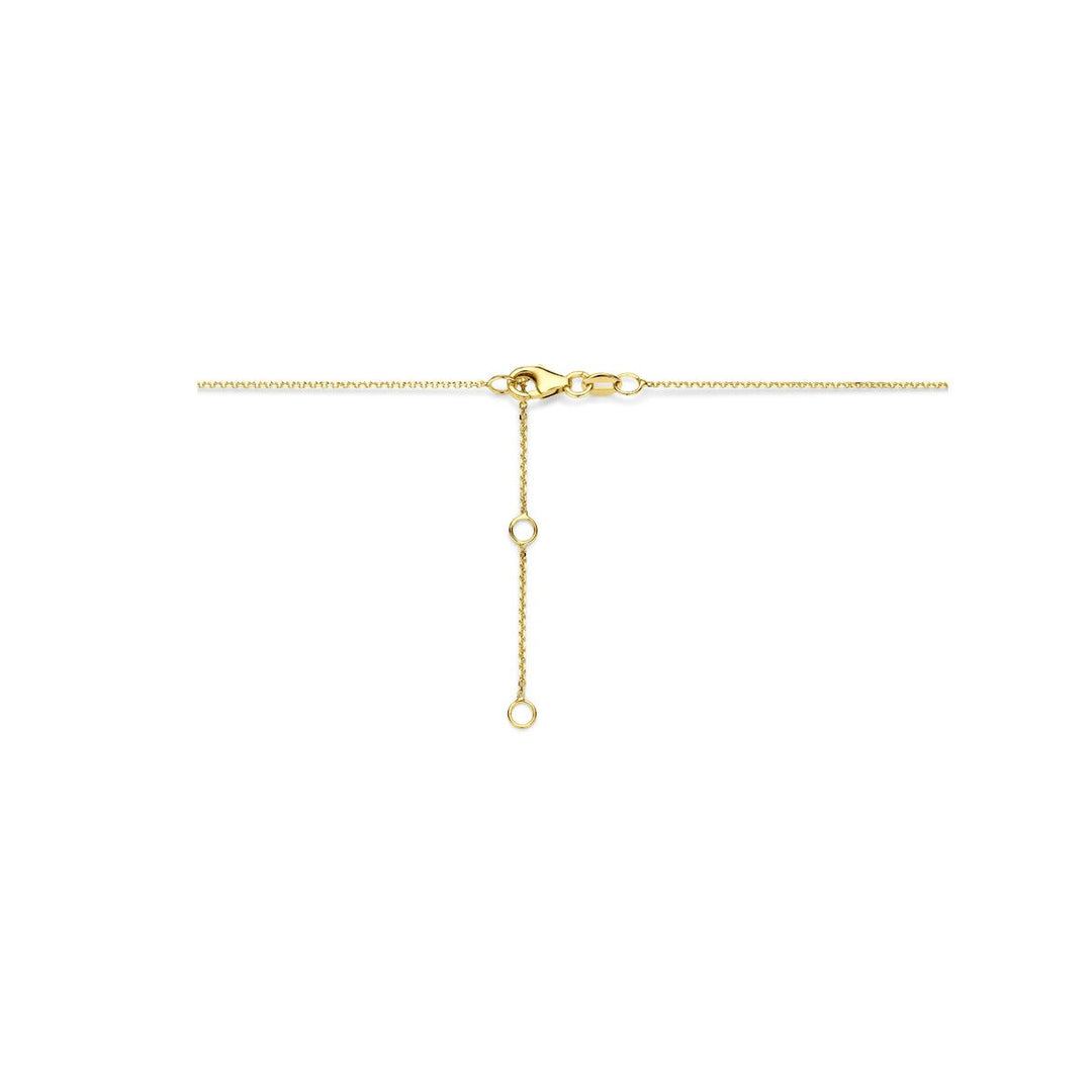 14k Geelgouden ketting met vlinder