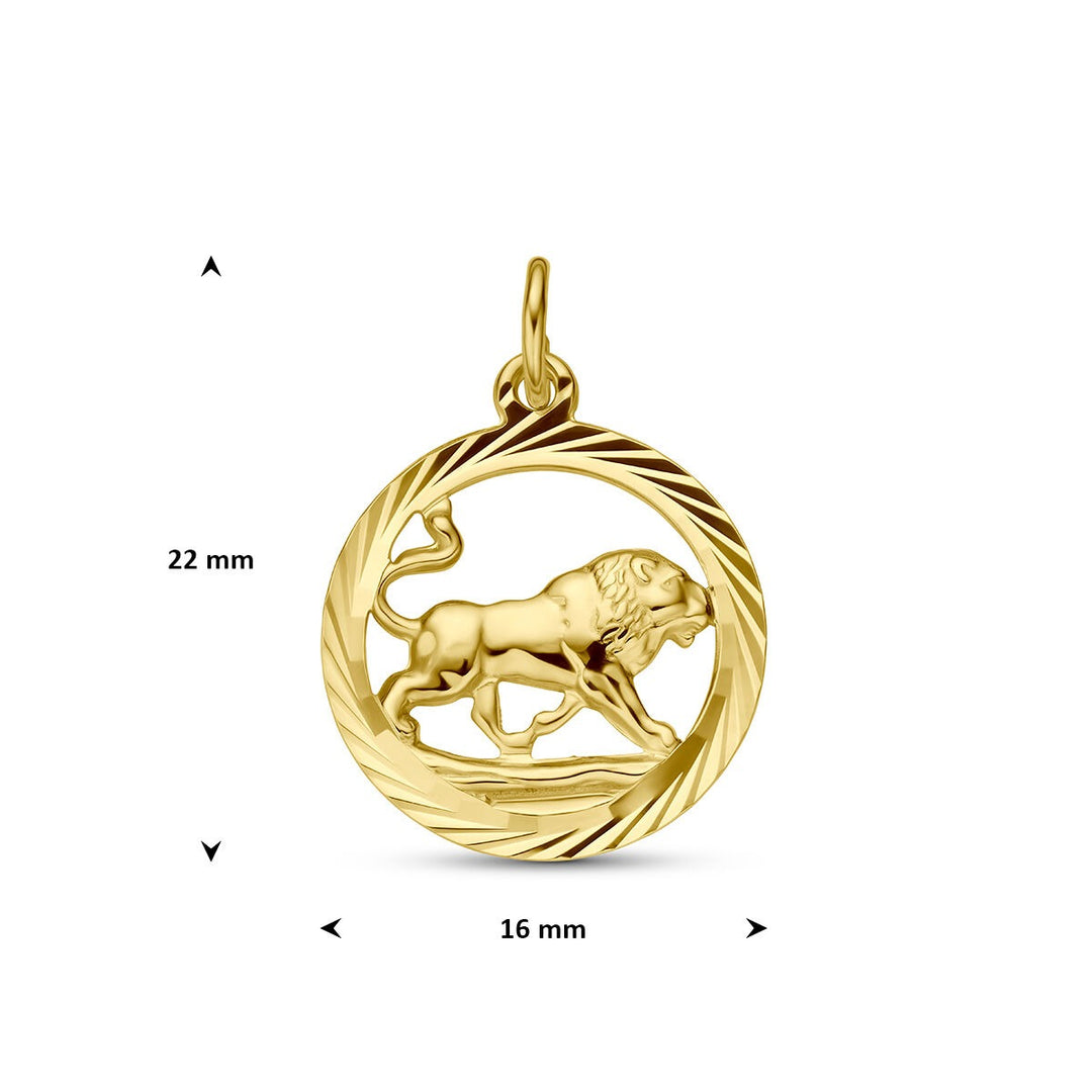 9k Geelgouden sterrenbeeld hanger
