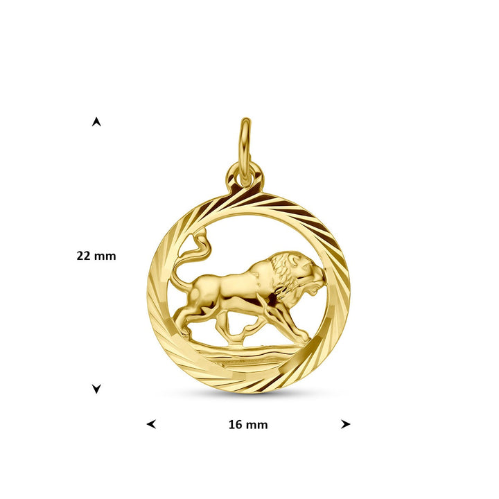 9k Geelgouden sterrenbeeld hanger