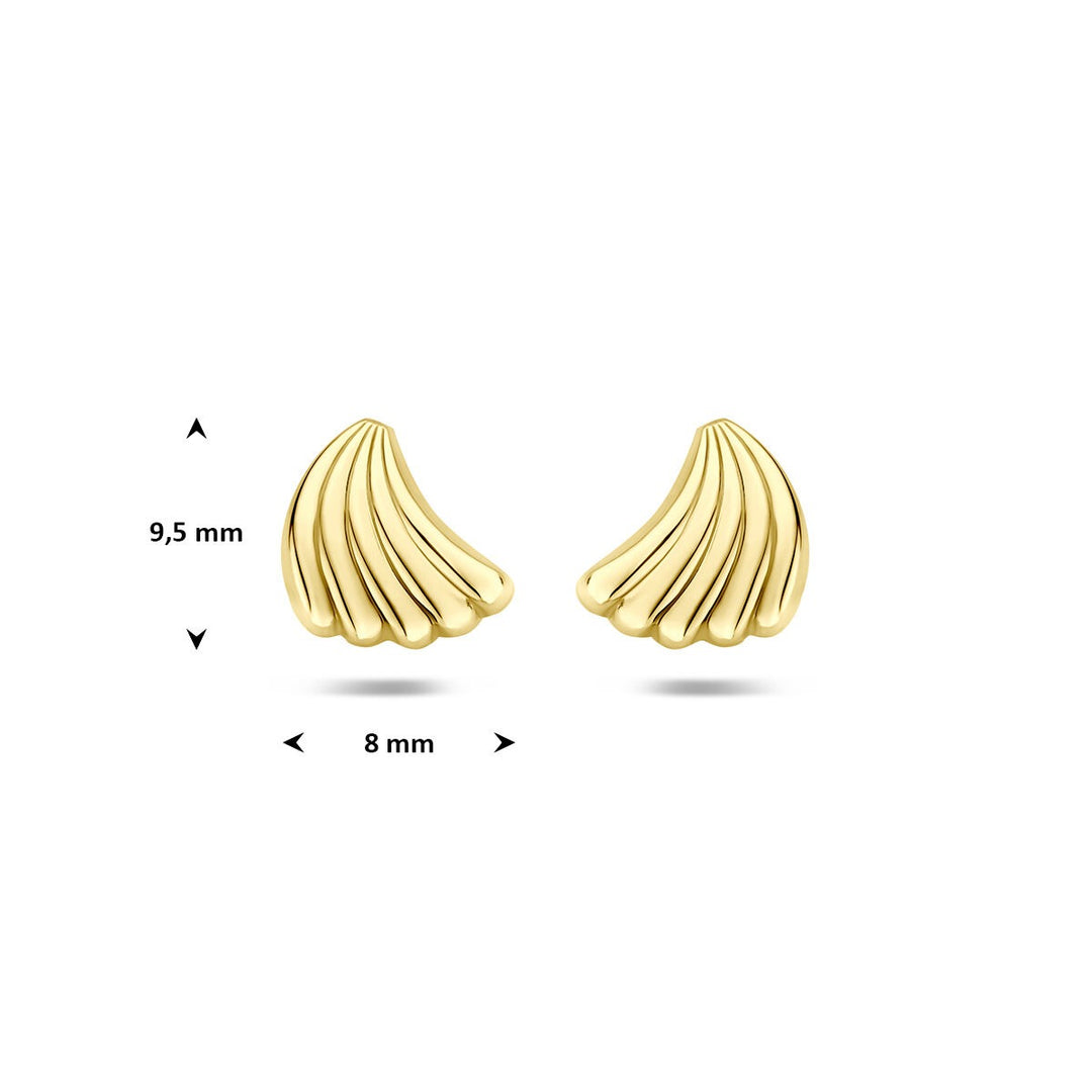 9k Geelgouden oorknoppen