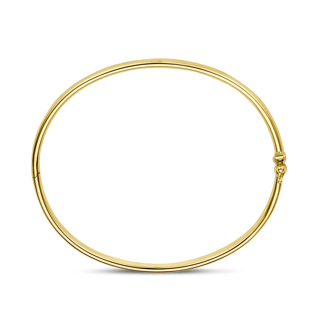 14k Geelgouden Silgold Bangle 4 mm Dames