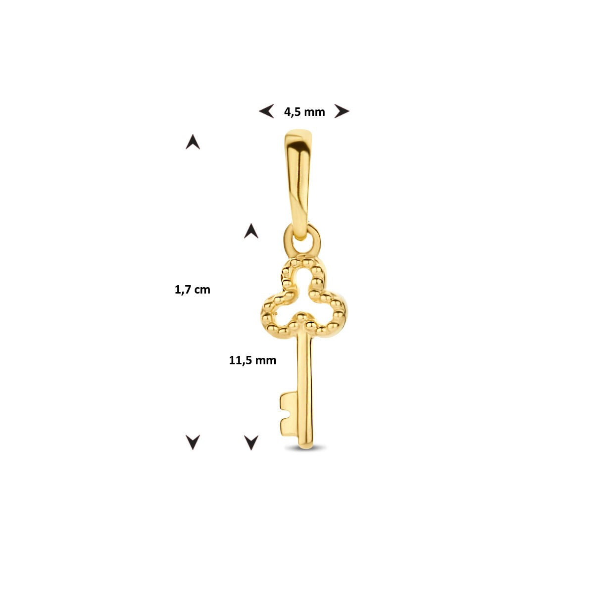 9 Karat Gelbgoldanhänger Schlüssel