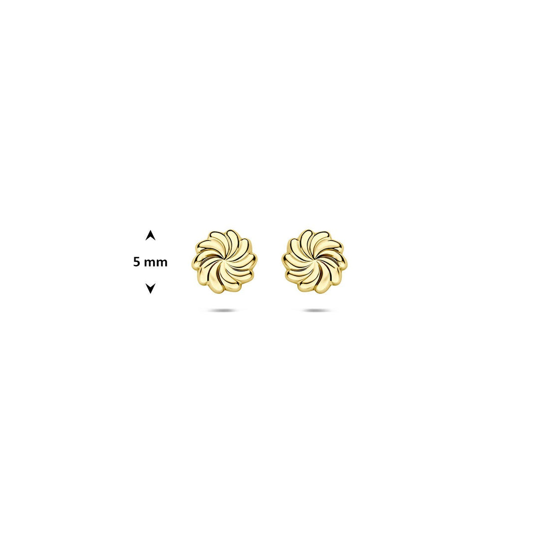 14k Geelgouden gedraaide oorknoppen