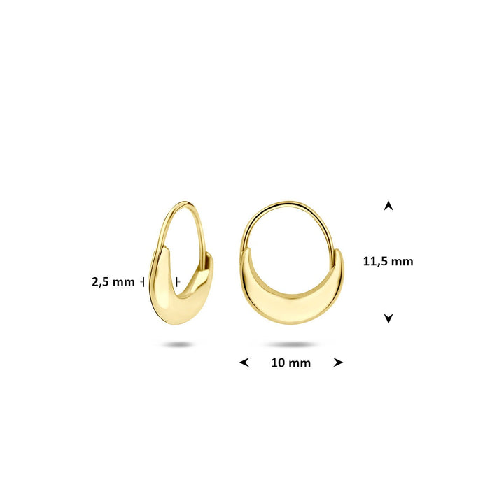 9k Geelgouden klapoorringen